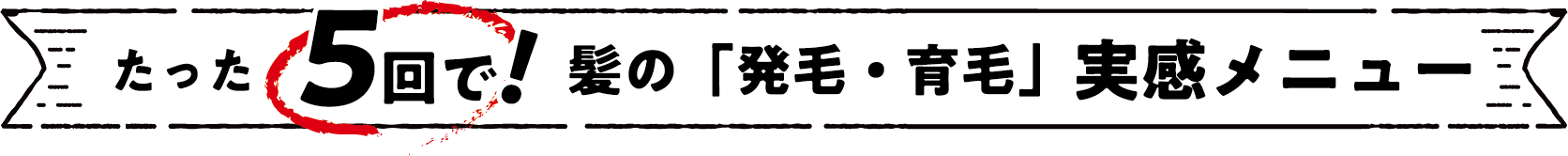 メニュー